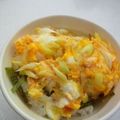 ゆみらんたん's cooksnap of when they made 5分で簡単ずぼら卵丼.