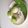 ひなひーな's cooksnap of when they made ずんだもち.