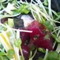 ひこ0304's cooksnap of when they made ★マグロとアボカドのユッケ丼★.