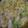 yukky0717's cooksnap of when they made 白菜の卵とじ.