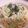 kewpie-k's cooksnap of when they made [簡単]チンゲン菜のツナマヨパスタ.