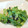 momosukekan's cooksnap of when they made ５分でできちゃう　レタスと海苔の炒め物.