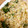 ちびた777's cooksnap of when they made 鮭とレタス炒飯.