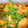 やよぴん's cooksnap of when they made 鮭の南蛮漬け.