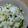 おむすびやま's cooksnap of when they made せりごはん.