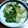 mikoko7's cooksnap of when they made [簡単]チンゲン菜のあっさり炒め.