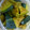 ☆erumo☆'s cooksnap of when they made 美味しいね♪普通のかぼちゃの煮物.