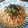 猫野あや's cooksnap of when they made ＊ﾂﾅと大根おろしのﾊﾟｽﾀ＊.