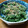 sinryuma's cooksnap of when they made 春菊の柚子マヨ.