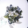 じょなりーな's cooksnap of when they made ダイエット♪わかめとしらすの酢の物.