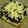 726xxx's cooksnap of when they made ひじきの煮物☆超簡単トーストに大変身！！.