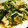 ひめポ's cooksnap of when they made もやしとほうれん草の野菜炒め.