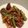 BRUNO4's cooksnap of when they made さっぱり和風酢豚.
