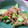しおかつを's cooksnap of when they made ほんだしで1分、きゅうりの即席漬け.