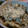 湘南猫's cooksnap of when they made 蓮根ととんぶりのマヨマスタード和え.