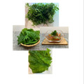 horseland's cooksnap of when they made うちのやり方♤大葉の切り方とアク抜き法.