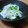 るびぃ改's cooksnap of when they made 簡単！手抜き浅漬け☆.