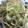 masho00's cooksnap of when they made 節約☆簡単豚もやしのバターしょうゆ炒め.