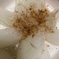 ﾌﾞﾚﾝﾀﾞ's cooksnap of when they made レンジで簡単！トロ甘まるごと新玉.