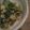 クックKUEVIS☆'s cooksnap of when they made 菜食☆セロリの葉の甘辛炒め.