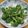 QPはにー's cooksnap of when they made ブロッコリーの胡麻和え.