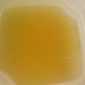 chezhiroko's cooksnap of when they made 鶏ガラスープ.