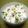kemeta's cooksnap of when they made 大根菜飯.