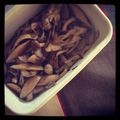 dandycandy's cooksnap of when they made どっさりキノコのレモンマリネ.