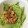 きっちmam＆tea's cooksnap of when they made 鶏皮と水菜のわさぽん和え.
