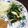 Ｐ子ママ's cooksnap of when they made ほうベーの中華風炒め.