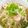 あんのひなめ's cooksnap of when they made 本格的　トムヤムクンヌードル！.