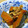 coske's cooksnap of when they made かぼちゃの煮物.