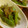 あやぶぅ☆'s cooksnap of when they made 簡単♪基本の‥いんげん胡麻和え.