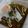 aup00n0629's cooksnap of when they made 私の好きなカップ焼きそばの食べ方.