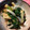 まりも0622's cooksnap of when they made 実は意外と簡単に出来ます！青ねぎのぬた❤.