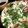 ＊ココナッツ＊'s cooksnap of when they made 春菊とたまねぎのチヂミ.