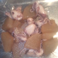 Ｋｉｔｔｙｃｈａｎ's cooksnap of when they made ヒイカの煮付け.