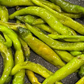 クック9OOUJO☆'s cooksnap of when they made ししとうだけ・・・ですが何か。.