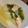 みっつみつ's cooksnap of when they made 魚のスープ.