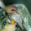 おちゃやママン's cooksnap of when they made 魚の鱗の取り方！.