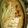 SyoMio's cooksnap of when they made 〆まで旨い！飽きない！水炊き鍋*.