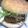 ミルクボール's cooksnap of when they made ハンバーガー・バンズ☆ポテト・ブレッド.