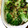 sarasa0601's cooksnap of when they made 里芋のカレーマヨグラタン♪♪.
