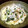 sivak's cooksnap of when they made 牡蠣とほうれん草のクリームパスタ.