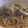 きらり流れ星's cooksnap of when they made ネギときのこの和風パスタ.