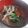 きらり流れ星's cooksnap of when they made きのこ汁.