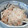 きらり流れ星's cooksnap of when they made 焼きれんこんとささがきごぼうのサラダ.