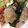 ♪♪まあちゃん♪♪'s cooksnap of when they made おろし豆腐ハンバーグ.