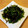 ままみん14's cooksnap of when they made お姑さん ありがとう大根葉の炒め物.