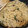 ゆるмαмα's cooksnap of when they made 和ぁ！きのこの柚子こしょばたーパスタ♪.